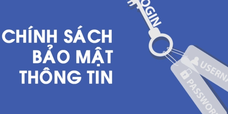 Chính Sách Bảo Mật Bong88: Bảo Vệ Thông Tin Người Dùng Hiệu Quả 2 Chính sách thu thập thông tin