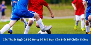 Tìm hiểu về các thuật ngữ cá độ bóng đá cơ bản mà tân thủ cần biết