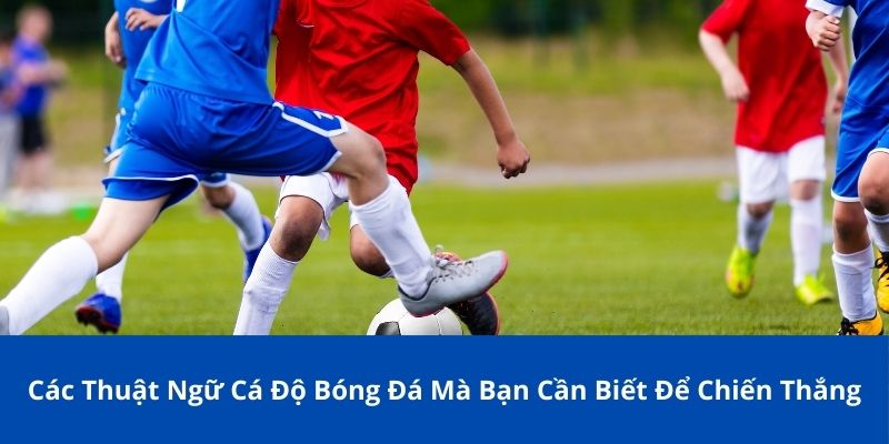 Các Thuật Ngữ Cá Độ Bóng Đá Bong88 Bạn Cần Biết Để Chiến Thắng 1 Tìm hiểu về các thuật ngữ cá độ bóng đá cơ bản mà tân thủ cần biết
