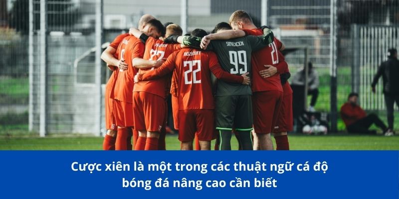 Các Thuật Ngữ Cá Độ Bóng Đá Bong88 Bạn Cần Biết Để Chiến Thắng 3 Cược xiên là một trong các thuật ngữ cá độ bóng đá nâng cao cần biết