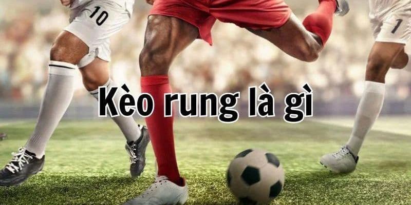 Khám phá sơ lược thông tin thú vị về kèo rung 