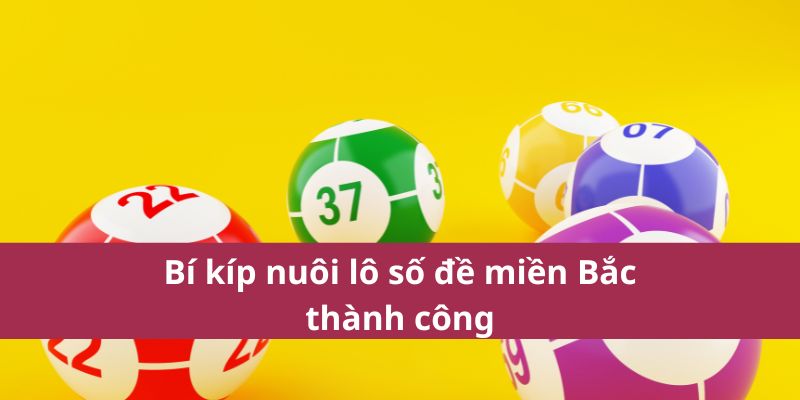 Dự Đoán Số Đề Miền Bắc Bong88 – Thống Kê Cầu Lô Chuẩn Xác 3 Bí kíp nuôi lô số đề miền Bắc thành công